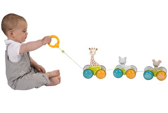 Jucarie de tras Roll & Go Girafa si prietenii
