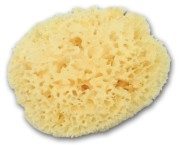 Burete natural Zimocca Grunspecht 510