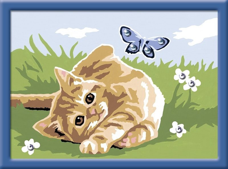 Pictura Pe Numere Pisic si Fluture Ravensburger - imagine 2