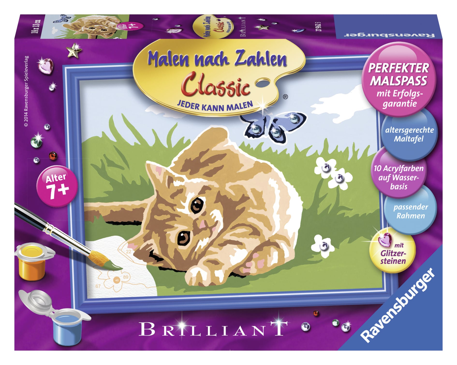 Pictura Pe Numere Pisic si Fluture Ravensburger