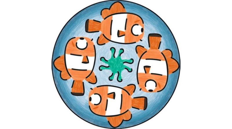 SET CREATIE MIDI MANDALA-DORY (ro) Ravensburger - imagine 2